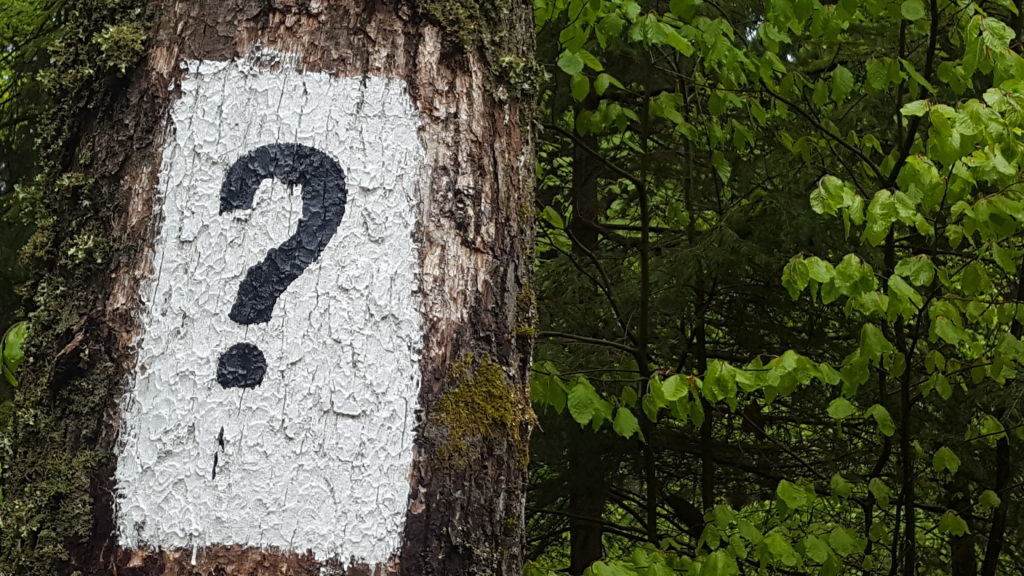 Fragezeichen am Baum
