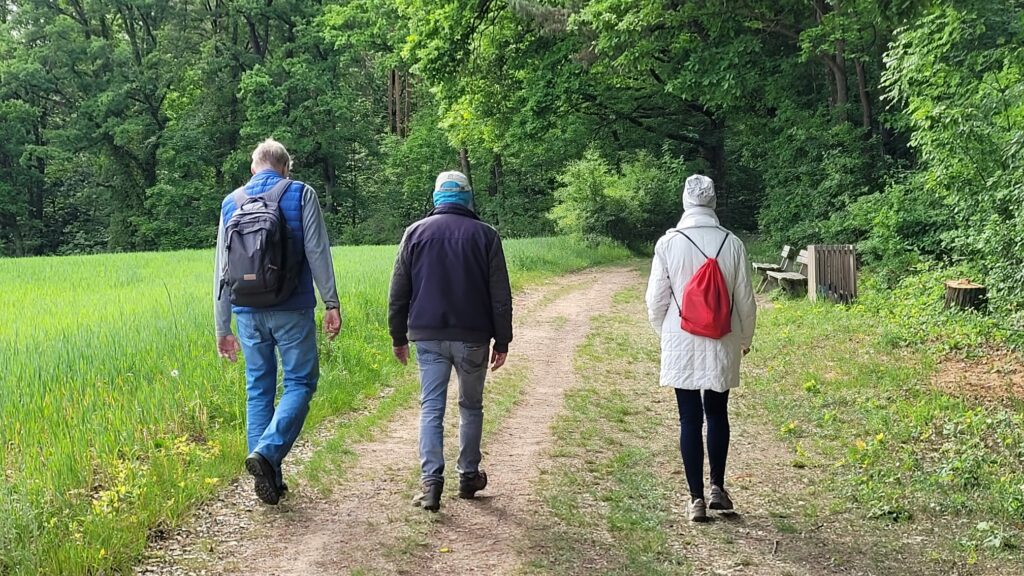 Seelenklangspaziergang: Sanftheit als Kraftquelle 11 WhatsApp Image 2025 05 18 at 08.46.41