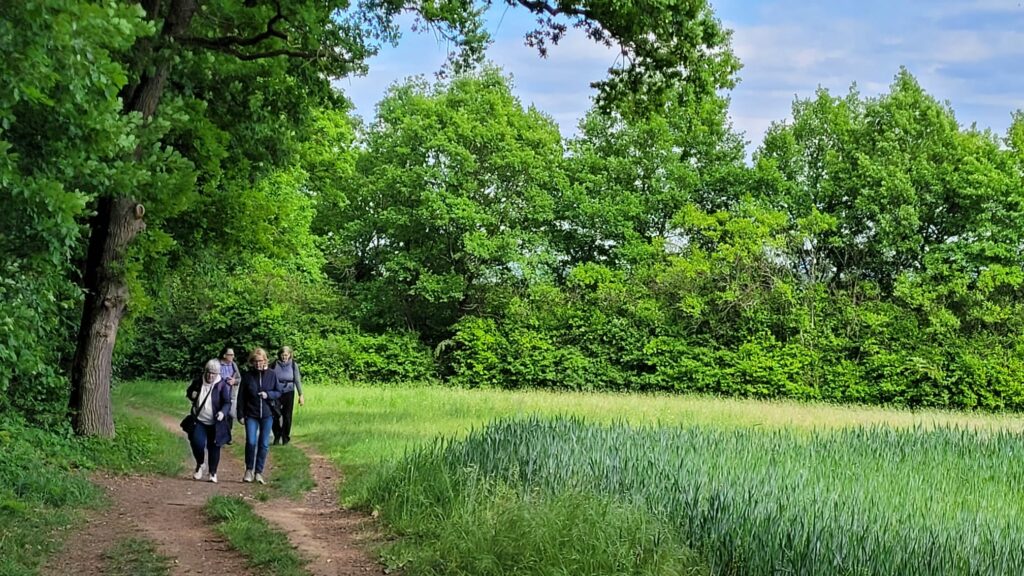 Seelenklangspaziergang: Sanftheit als Kraftquelle 12 WhatsApp Image 2025 05 18 at 08.46.42
