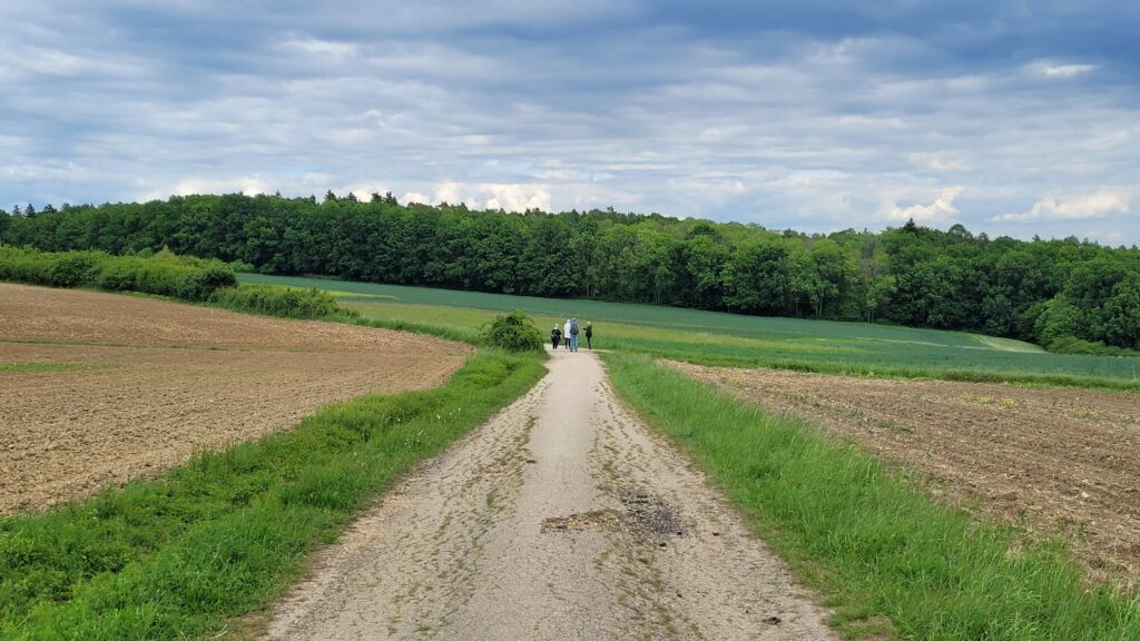 Seelenklangspaziergang: Sanftheit als Kraftquelle 10 WhatsApp Image 2025 05 18 at 08.46.42 6
