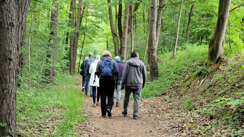 Seelenklangspaziergang: Sanftheit als Kraftquelle 4 WhatsApp Image 2025 05 18 at 08.46.43 5